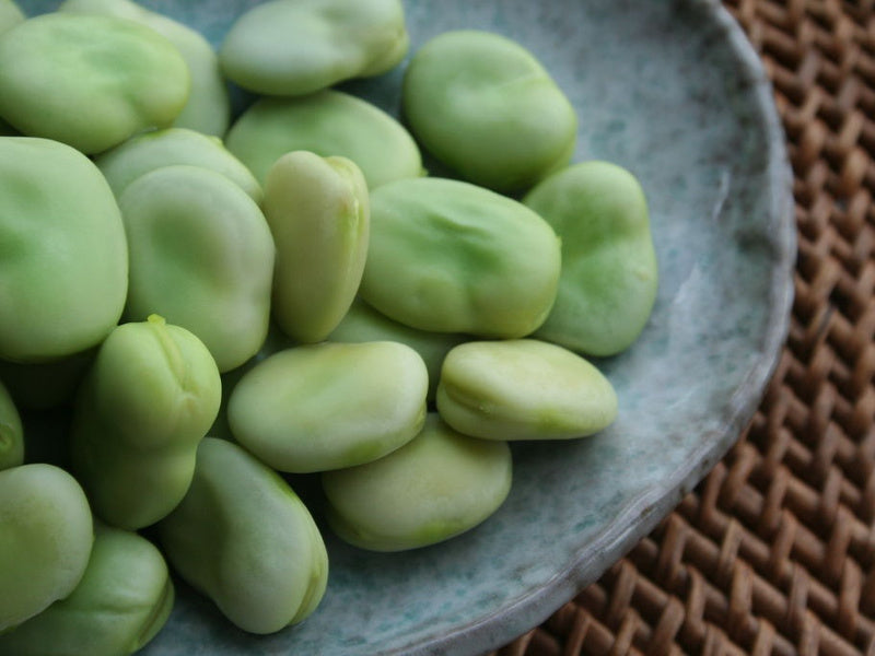 Broad Beans (Dry)