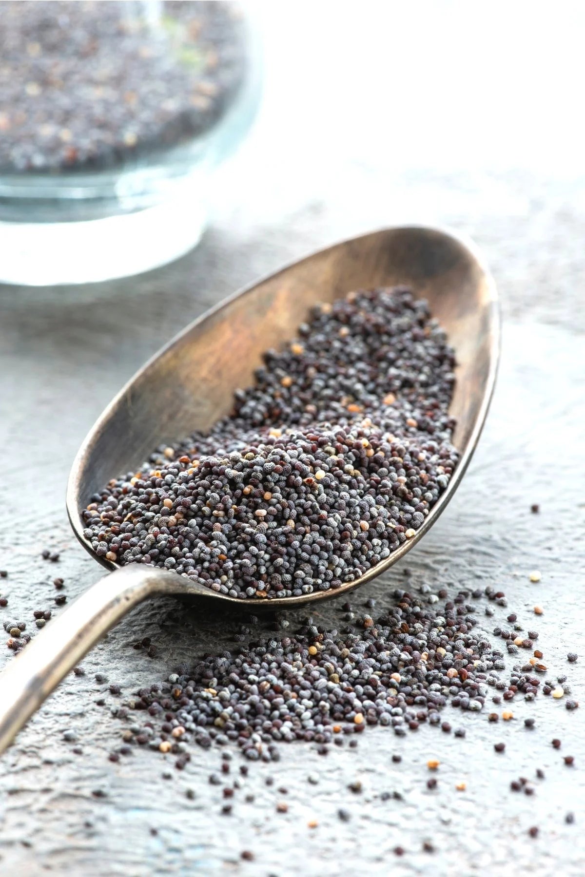 Poppy Seeds