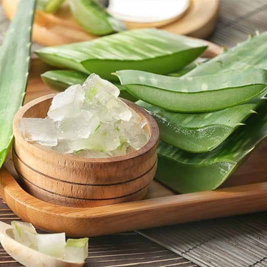 Aloe Skin & Hair Oil